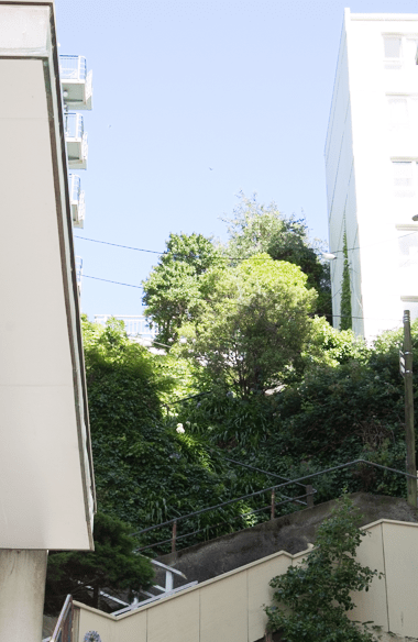 Screen Shot 2019-03-29 at 10.40.25 PM