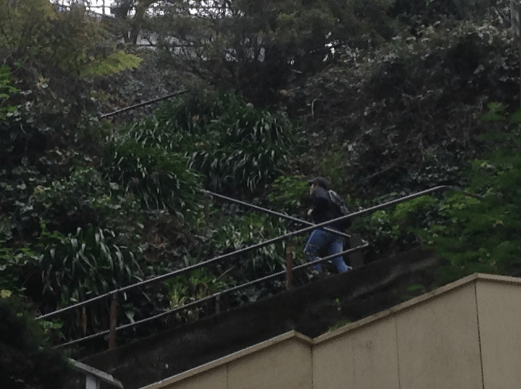 Screen Shot 2019-03-31 at 11.48.46 PM