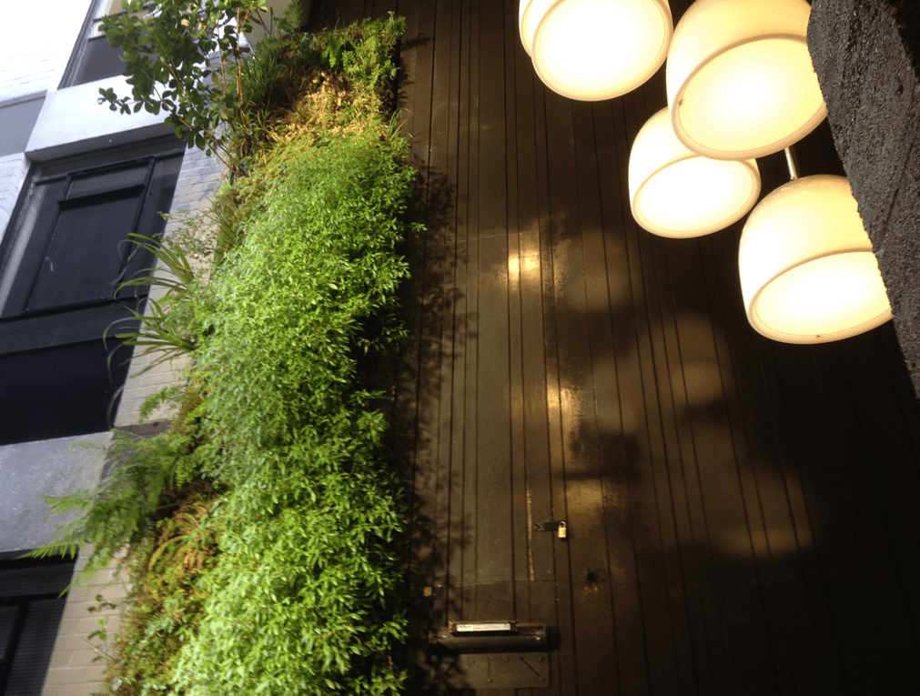 Screen Shot 2019-03-31 at 11.39.38 PM