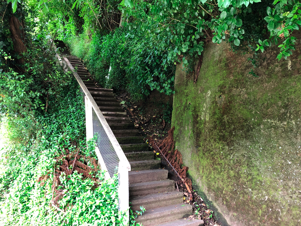 Screen Shot 2019-03-31 at 12.25.49 PM