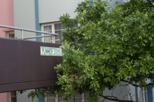 Plimmer’s Steps – Wellington Steps