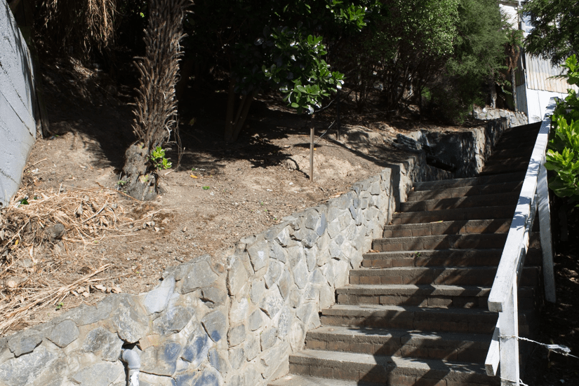 Screen Shot 2019-04-01 at 12.23.54 AM