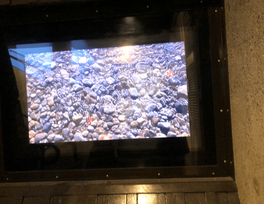 Screen Shot 2019-04-17 at 2.51.35 PM