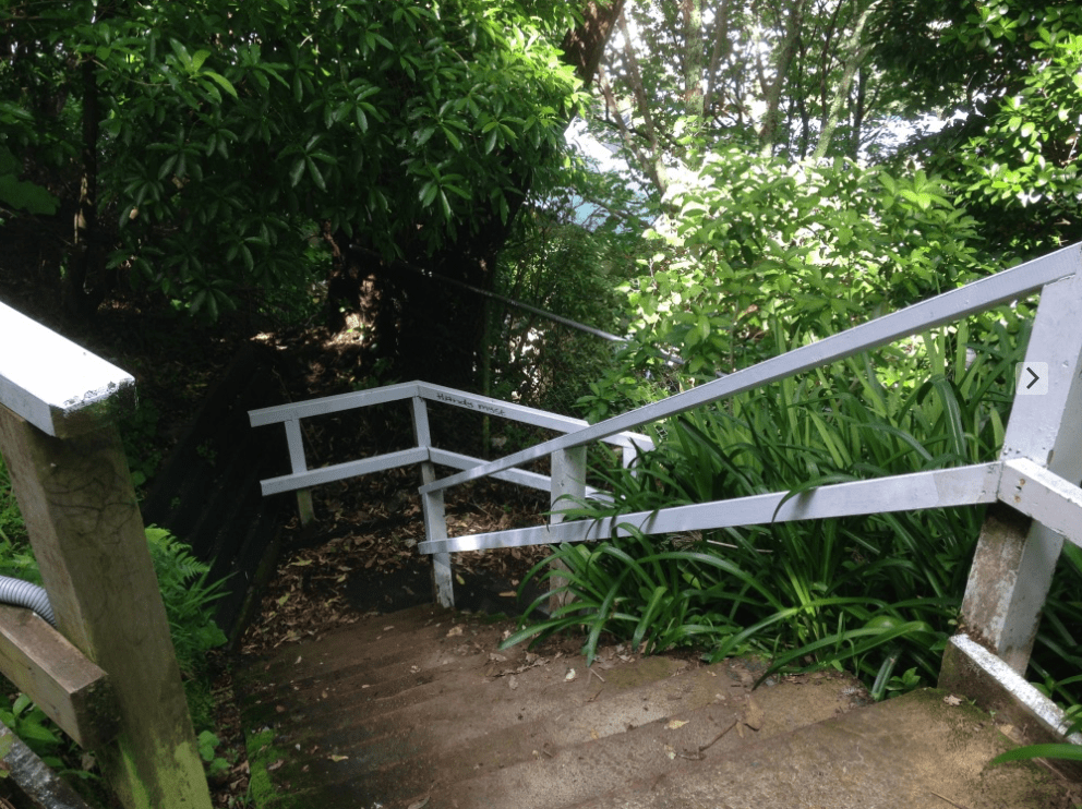 Screen Shot 2018-11-28 at 12.50.50 PM