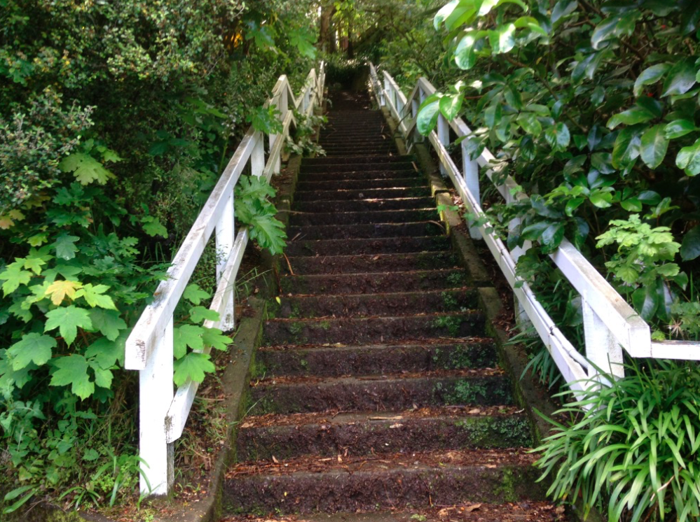 Screen Shot 2018-11-28 at 12.51.04 PM