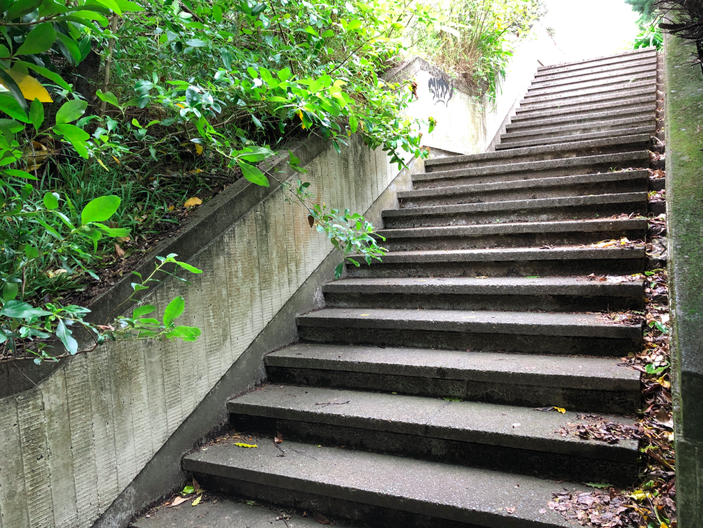 Screen Shot 2018-12-22 at 1.09.18 AM