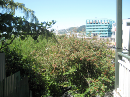 Screen Shot 2018-12-03 at 11.14.54 PM