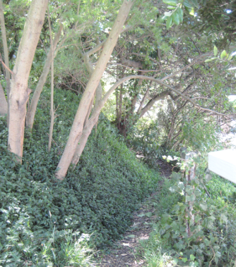 Screen Shot 2018-12-04 at 3.13.54 PM