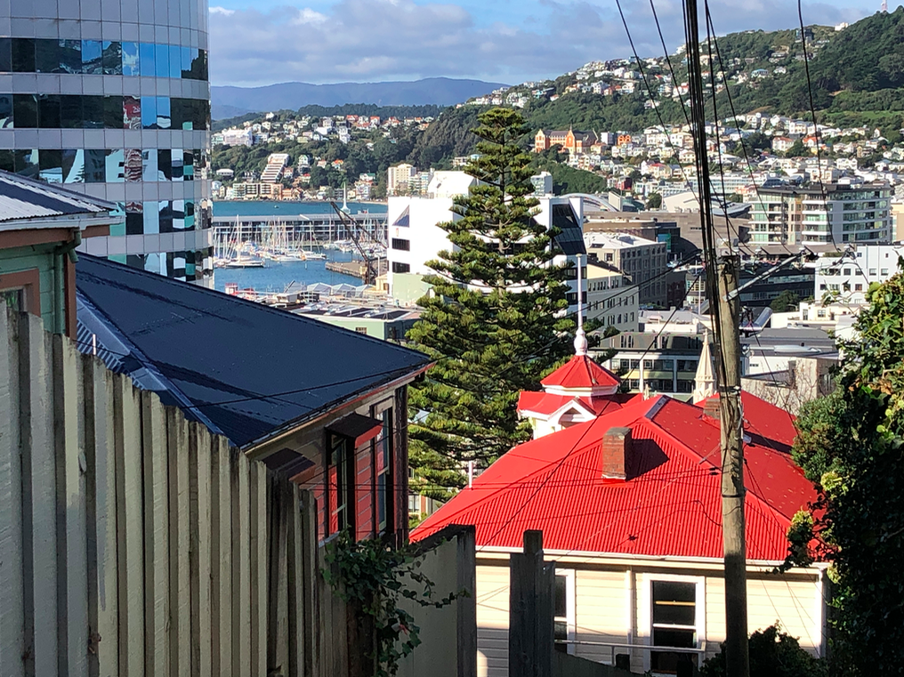 Screen Shot 2019-05-18 at 3.47.36 PM