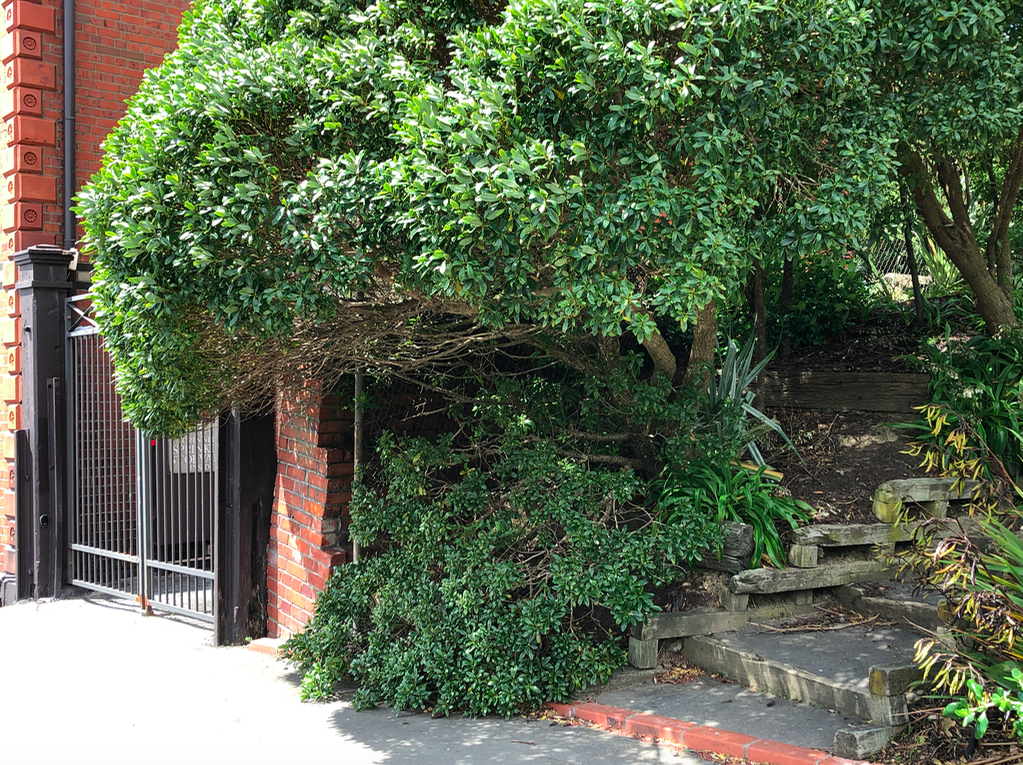 screen shot 2019-01-17 at 1.52.55 pm