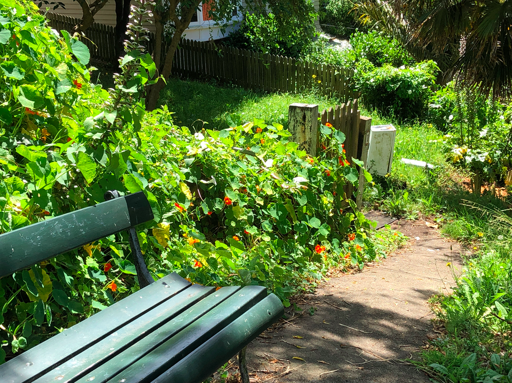 screen shot 2019-01-17 at 4.42.37 pm