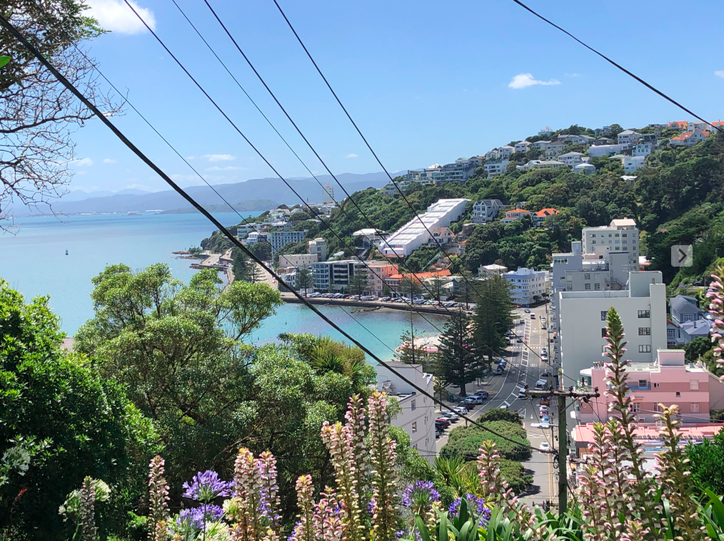 screen shot 2019-01-17 at 4.42.48 pm