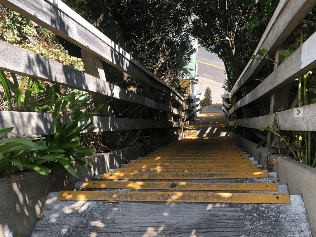 Screen Shot 2019-02-12 at 11.47.24 AM