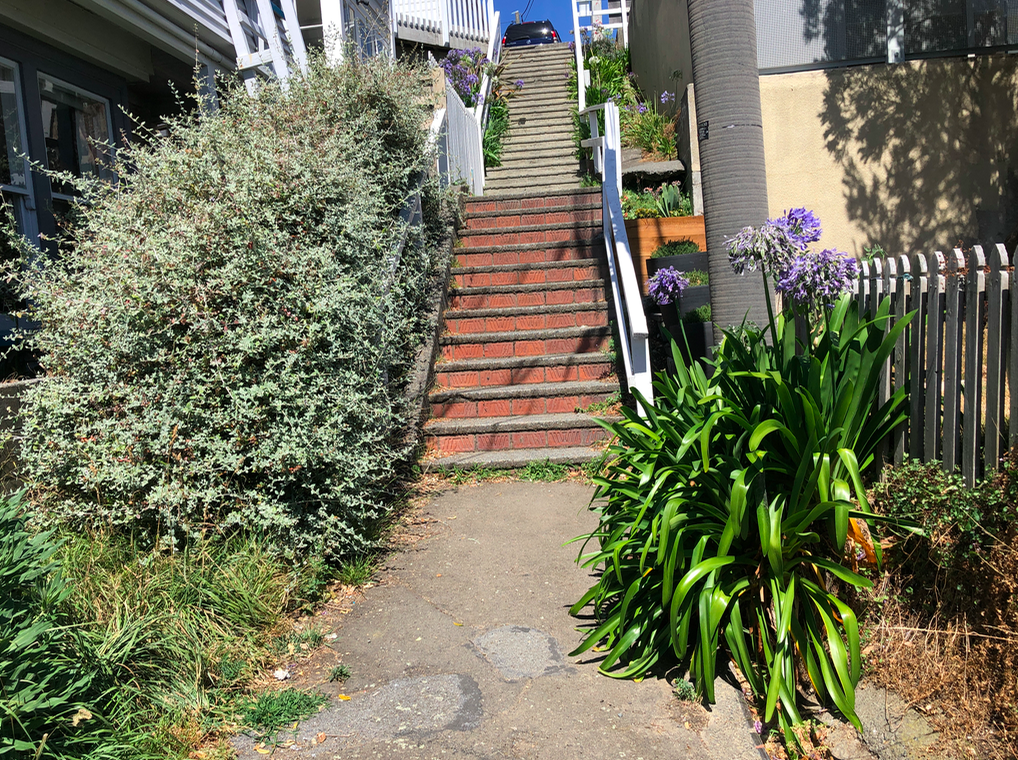 Screen Shot 2019-02-12 at 11.47.50 AM