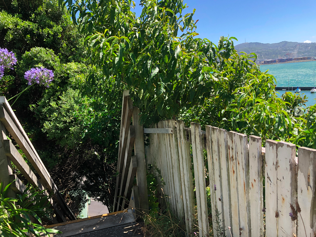 Screen Shot 2019-02-12 at 11.48.21 AM