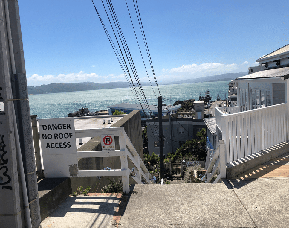 Screen Shot 2019-02-12 at 11.49.36 AM