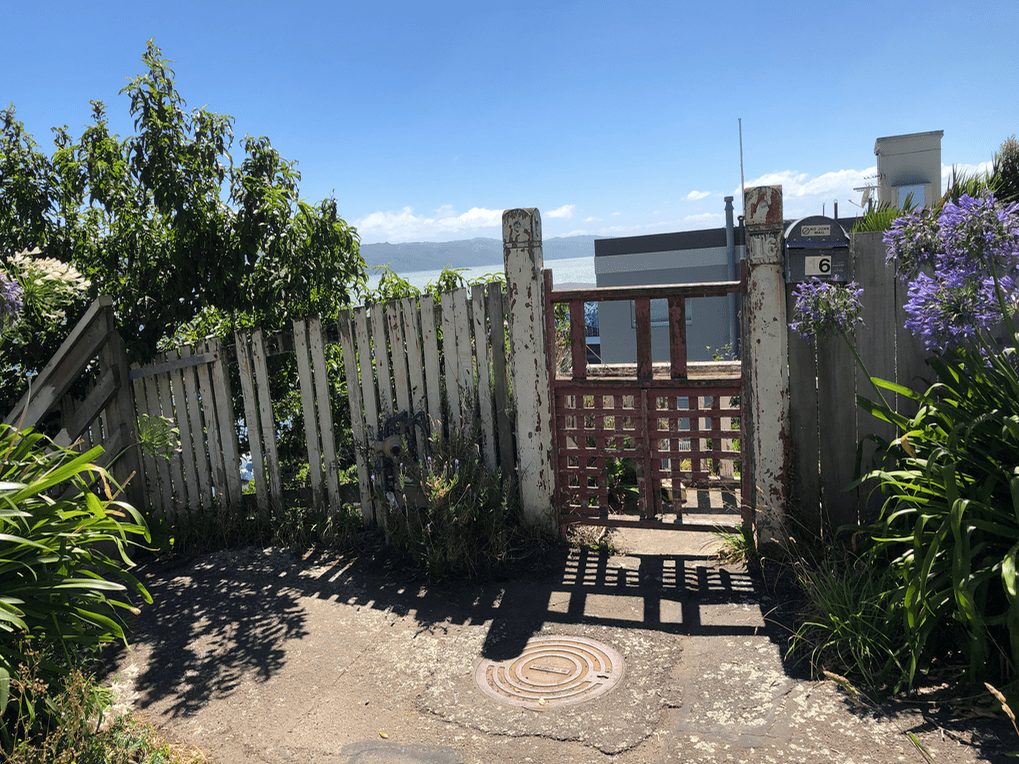 Screen Shot 2019-02-12 at 11.50.32 AM