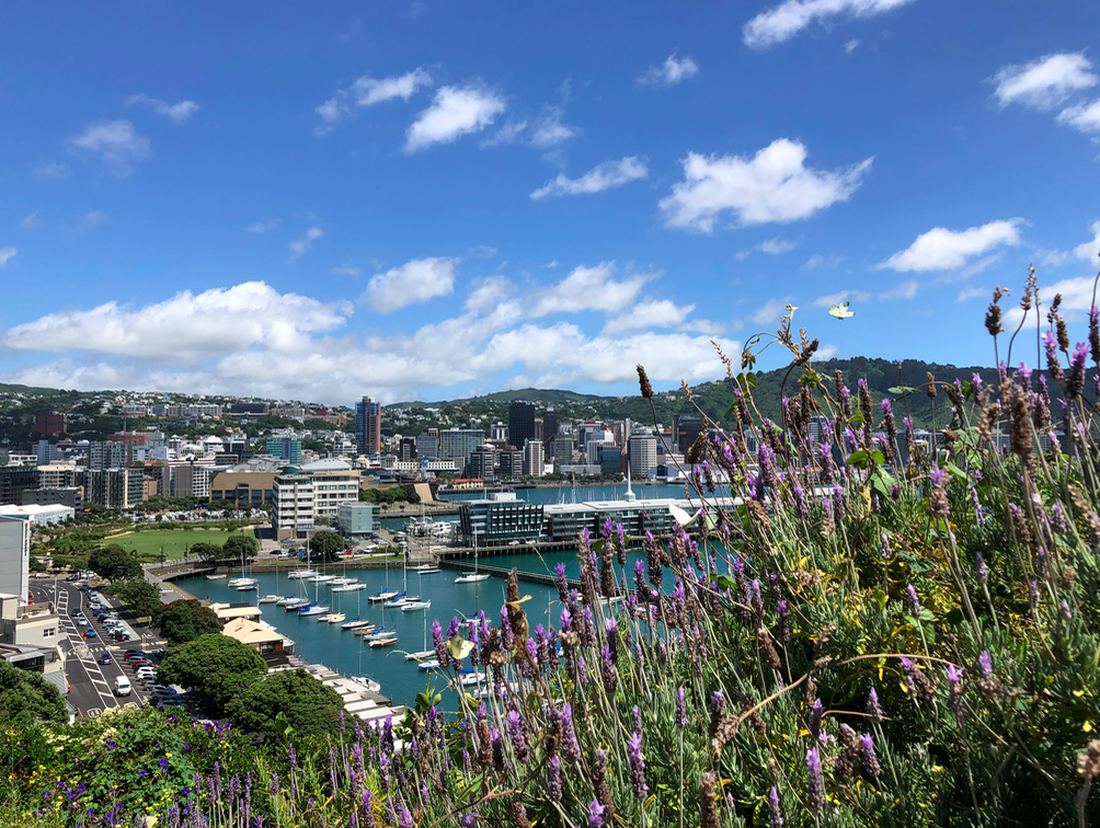 Screen Shot 2019-03-29 at 5.36.44 PM