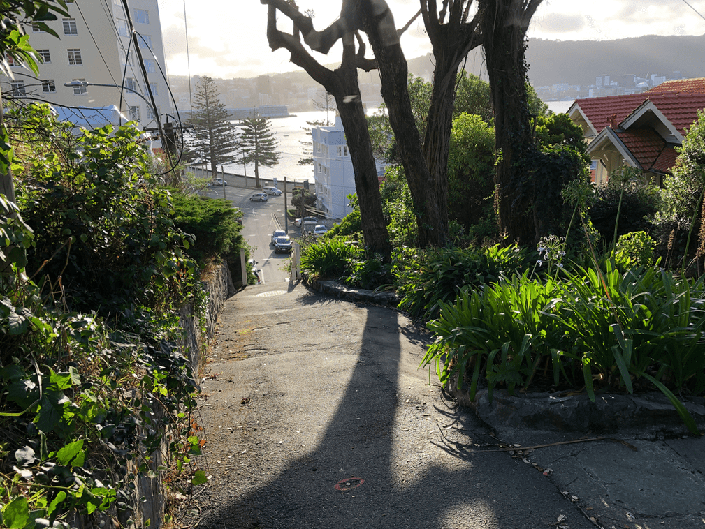 Screen Shot 2019-04-09 at 11.40.52 AM