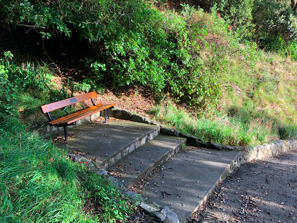 Screen Shot 2019-04-09 at 11.41.50 AM