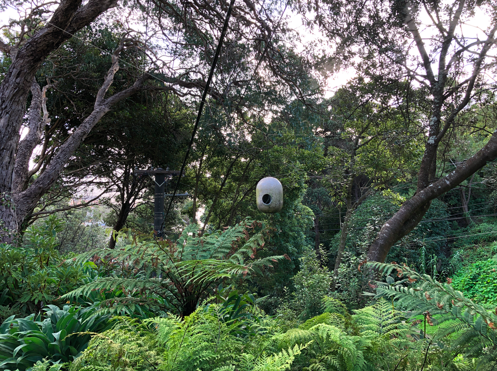 Screen Shot 2019-04-09 at 11.43.40 AM