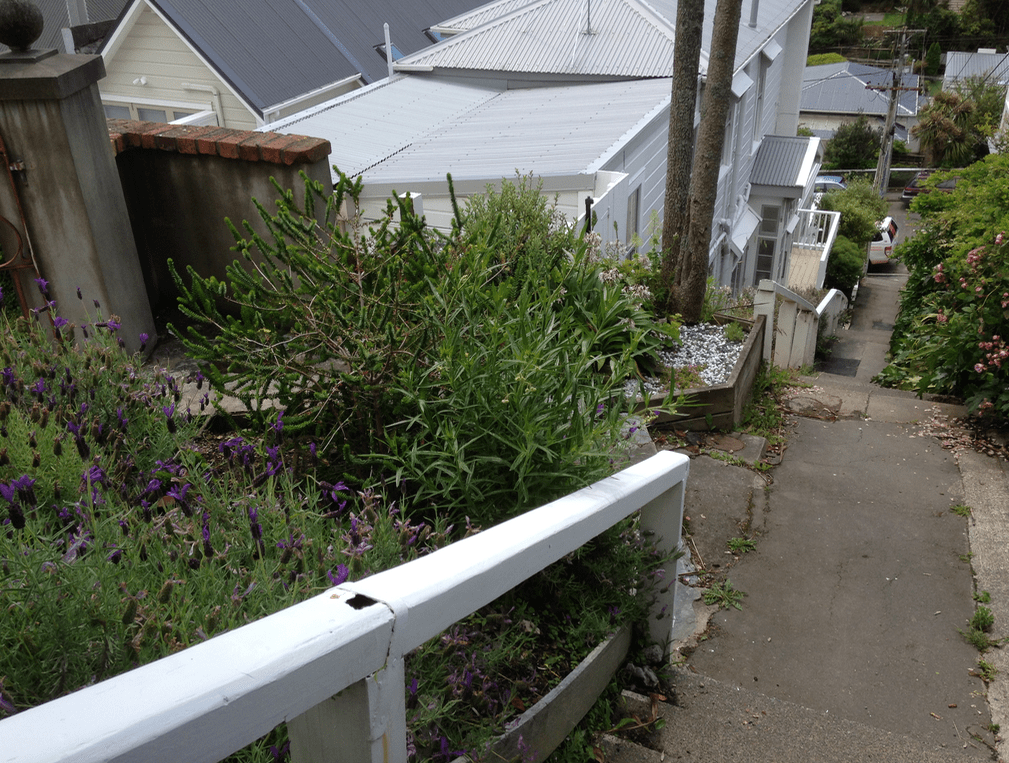 Screen Shot 2019-04-10 at 11.22.16 PM