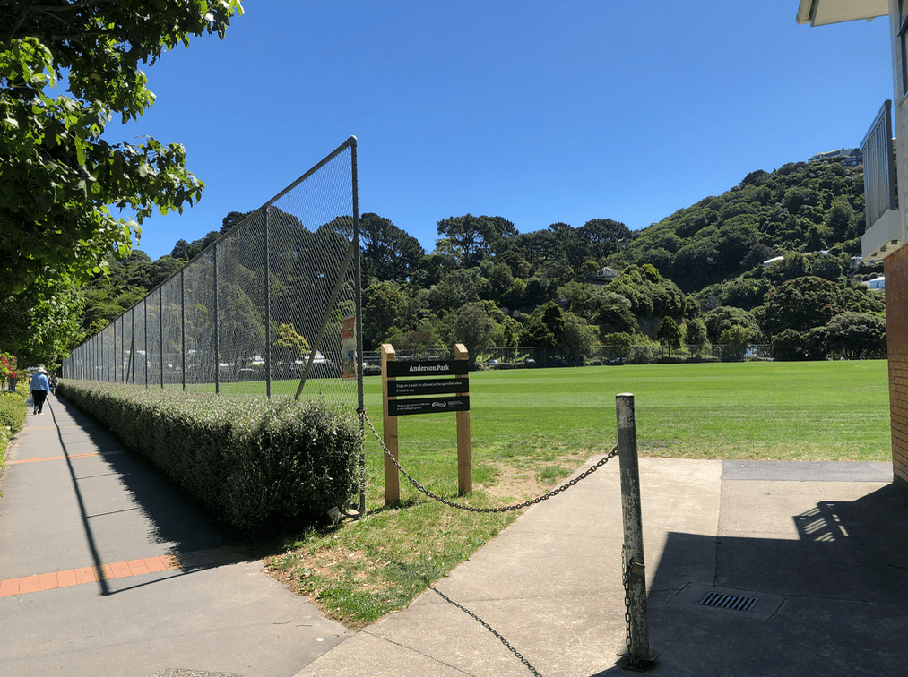 Screen Shot 2019-03-06 at 4.42.40 PM