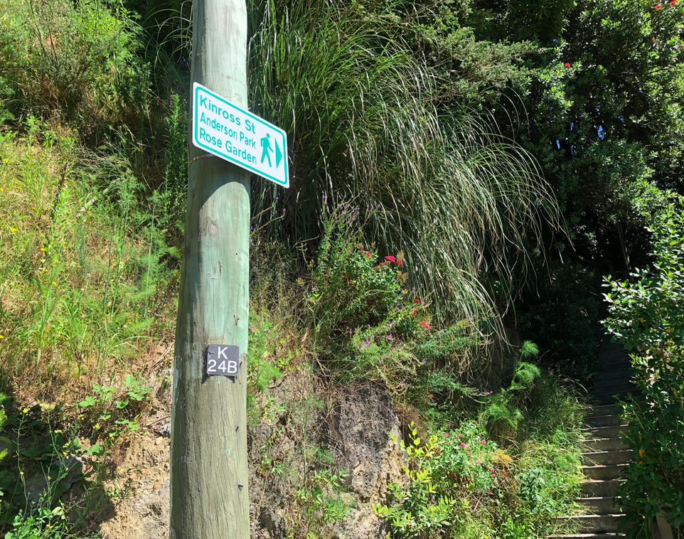 Screen Shot 2019-03-06 at 4.44.49 PM