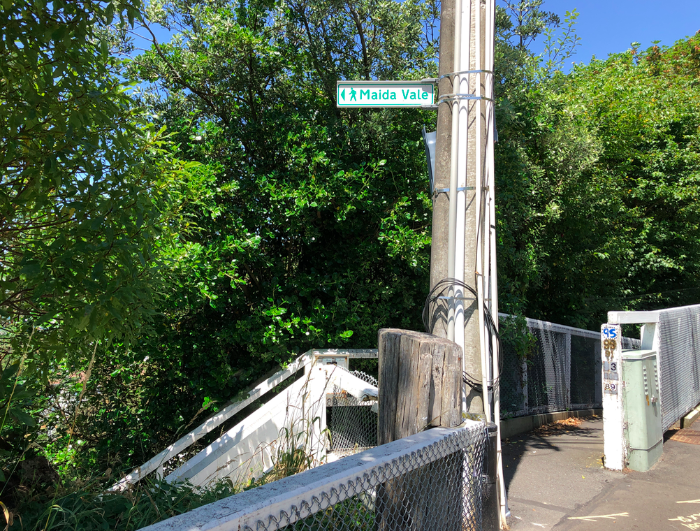 Screen Shot 2019-03-15 at 8.55.15 AM