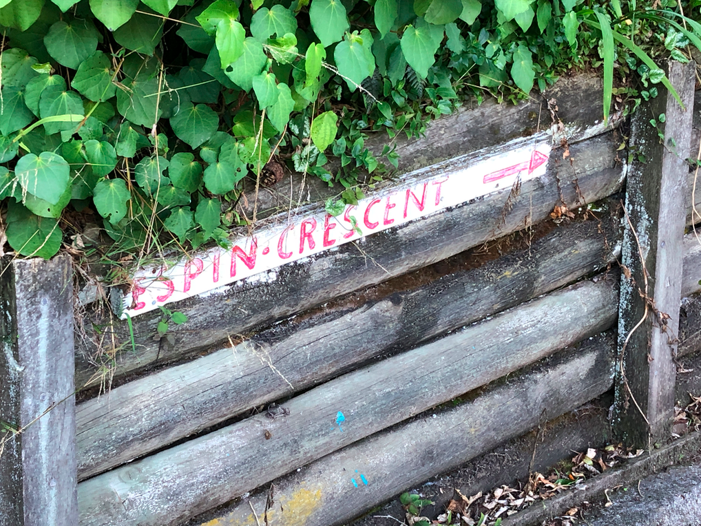 Screen Shot 2019-03-28 at 5.43.39 PM