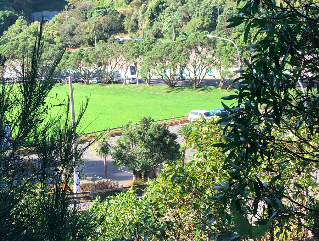 Screen Shot 2019-03-28 at 5.44.13 PM