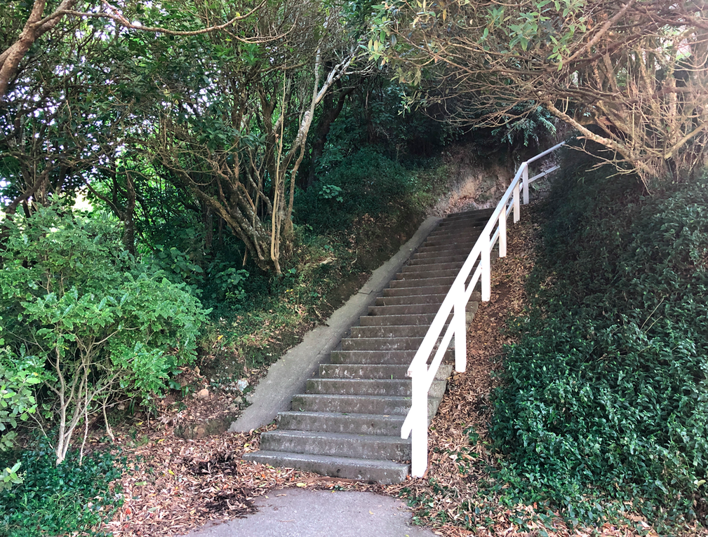 Screen Shot 2019-03-28 at 5.44.52 PM