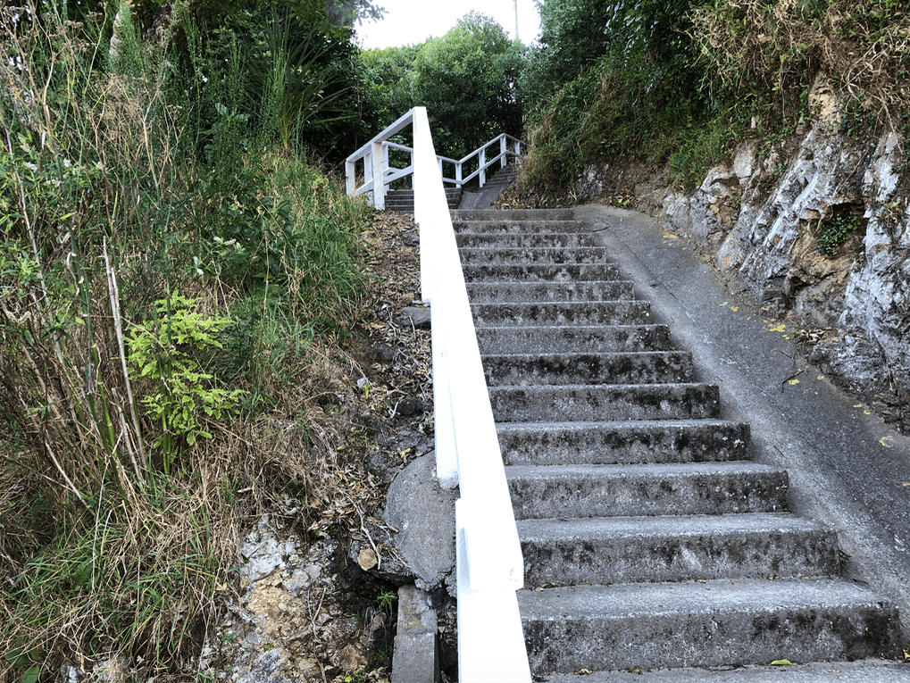 Screen Shot 2019-03-28 at 5.45.24 PM