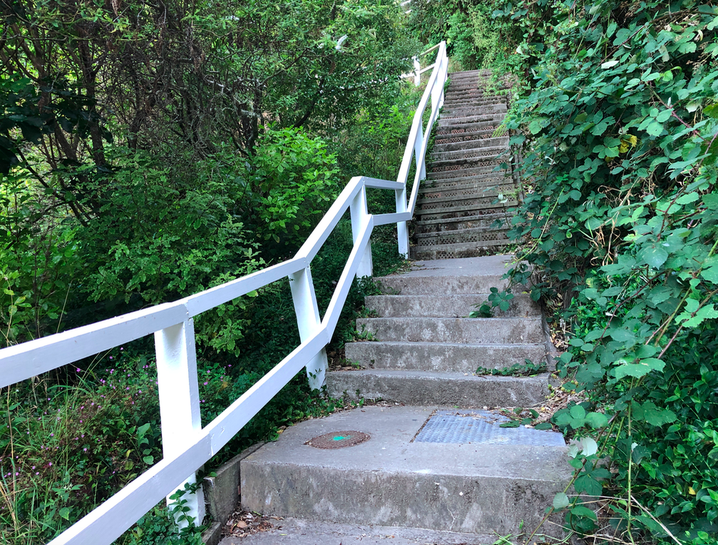 Screen Shot 2019-03-28 at 5.56.11 PM