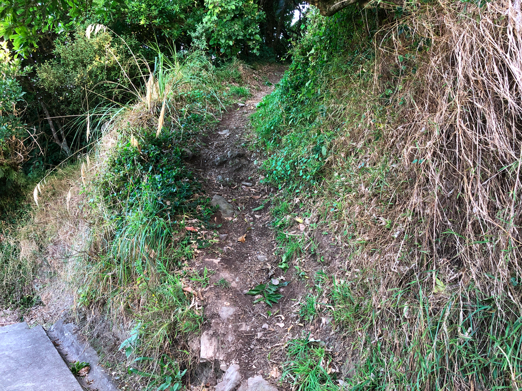 Screen Shot 2019-03-28 at 5.59.22 PM