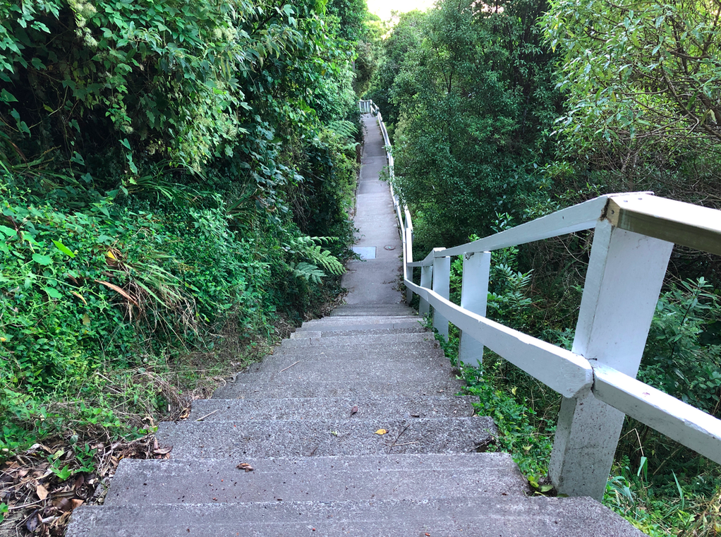 Screen Shot 2019-03-28 at 5.59.51 PM