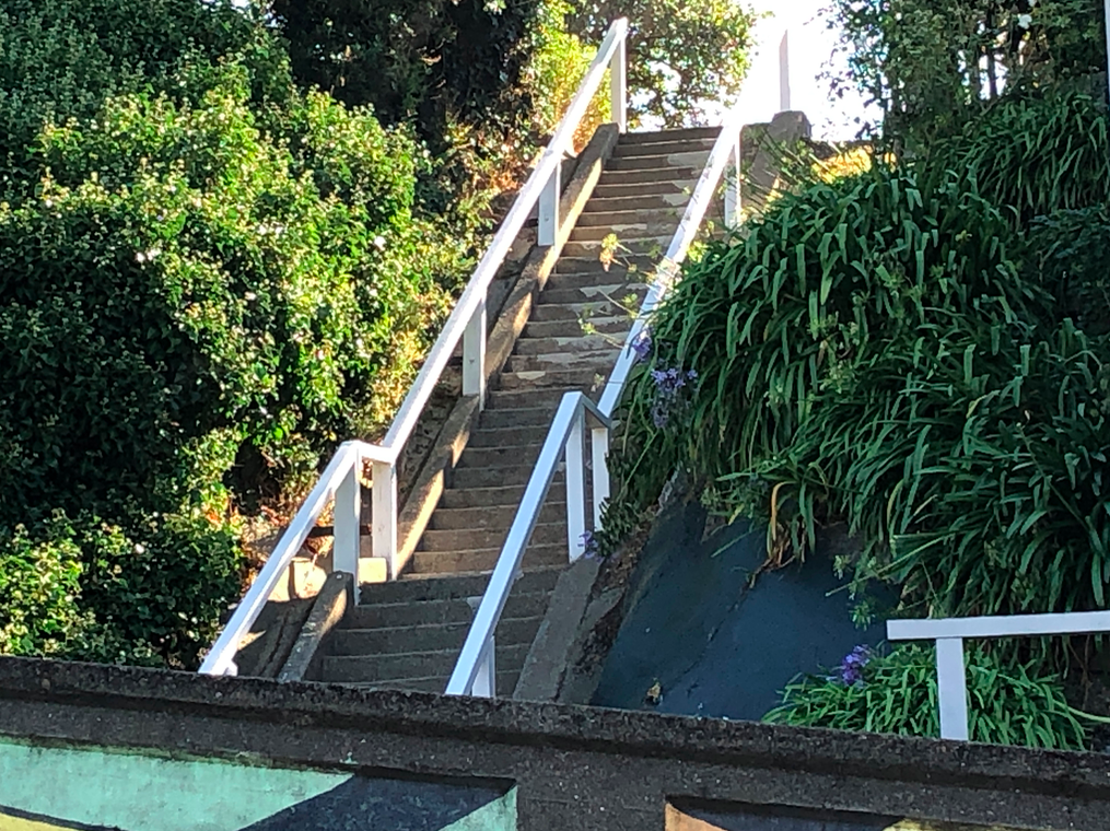 Screen Shot 2019-03-29 at 3.10.57 PM