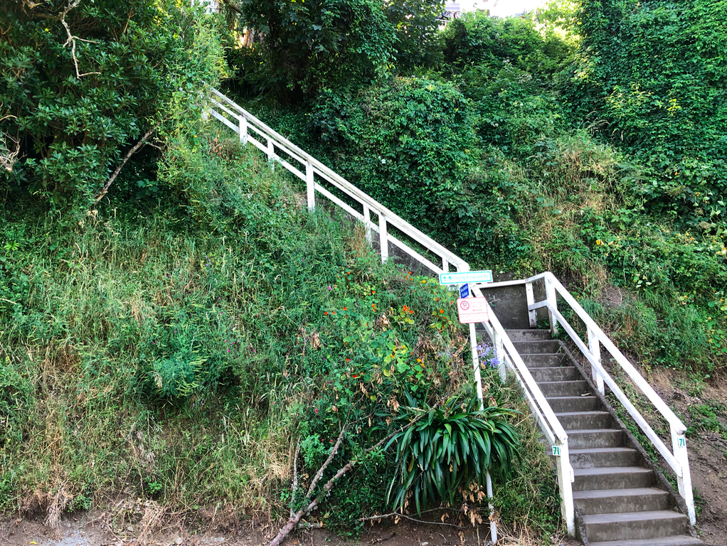 Screen Shot 2019-03-30 at 8.09.43 PM