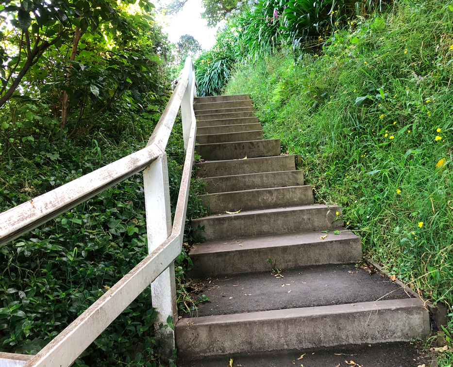 Screen Shot 2019-03-30 at 8.10.15 PM