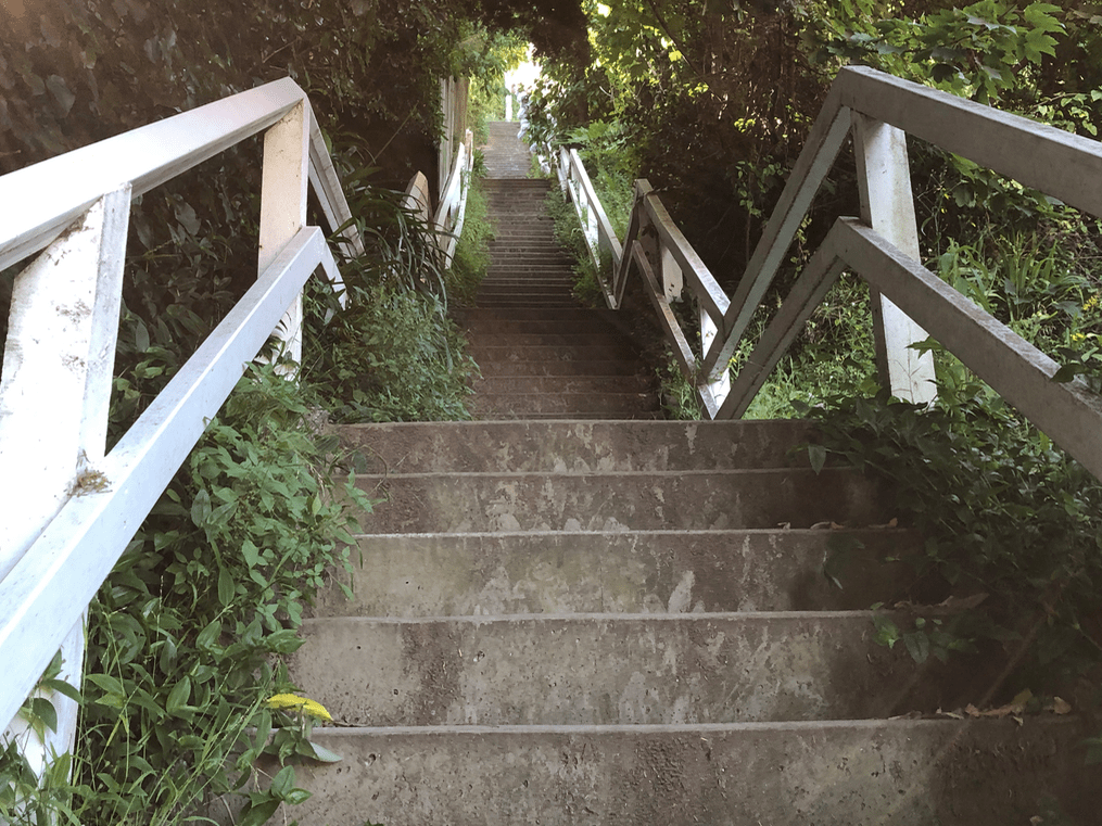 Screen Shot 2019-03-30 at 8.11.10 PM