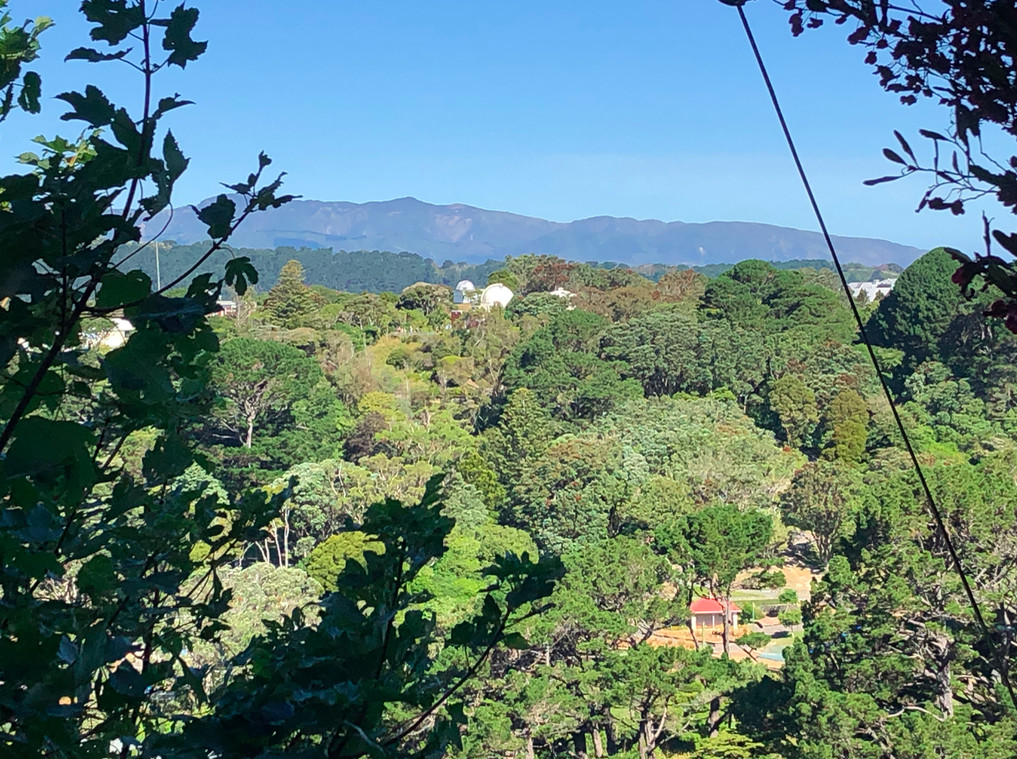 Screen Shot 2019-03-30 at 8.12.42 PM