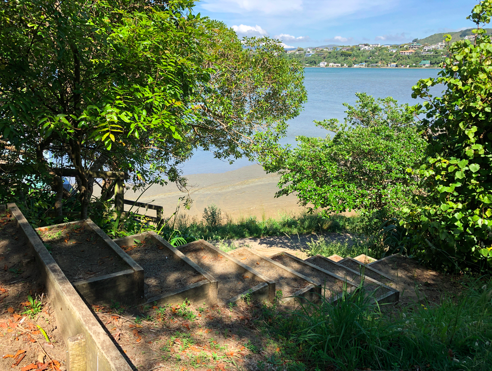 Screen Shot 2019-03-31 at 12.02.43 PM