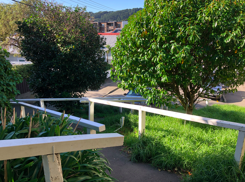 Screen Shot 2019-05-14 at 8.01.33 PM