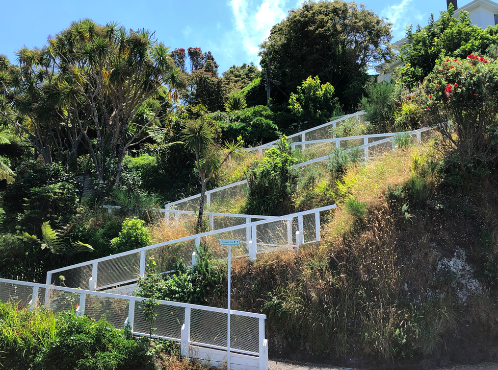 Screen Shot 2019-03-30 at 8.16.33 PM