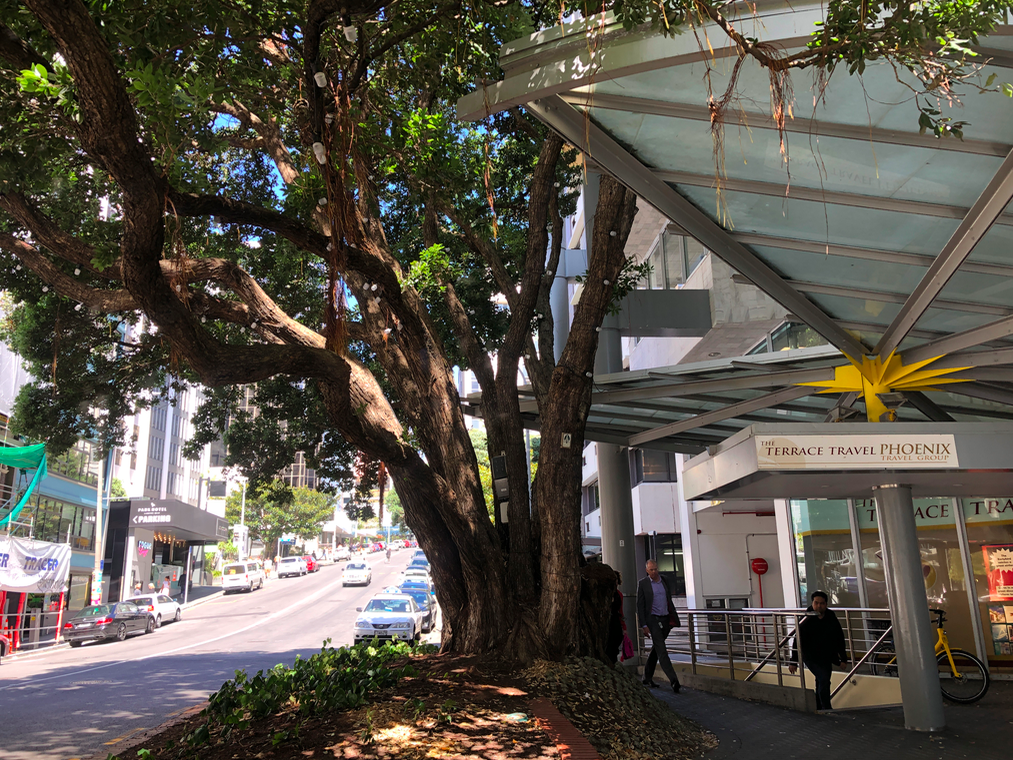 Screen Shot 2019-04-01 at 5.36.22 PM