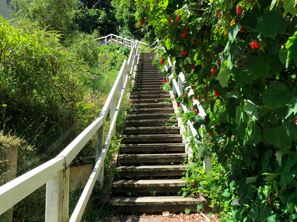 Screen Shot 2019-04-06 at 10.00.20 PM