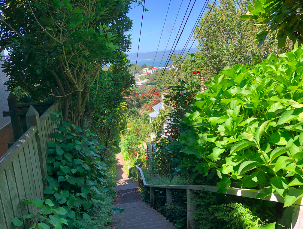 Screen Shot 2019-04-06 at 10.46.09 PM