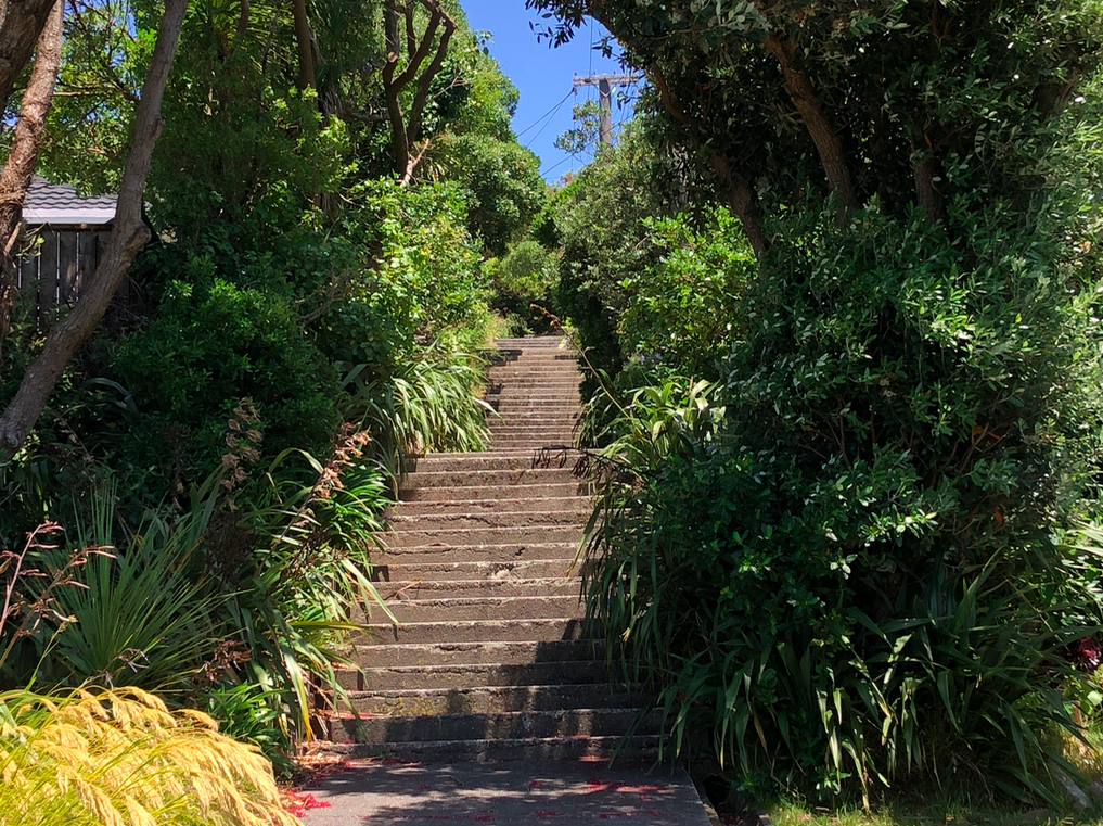 Screen Shot 2019-04-07 at 1.58.05 PM