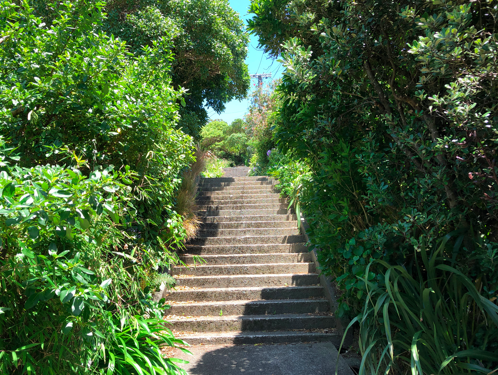 Screen Shot 2019-04-07 at 1.58.23 PM