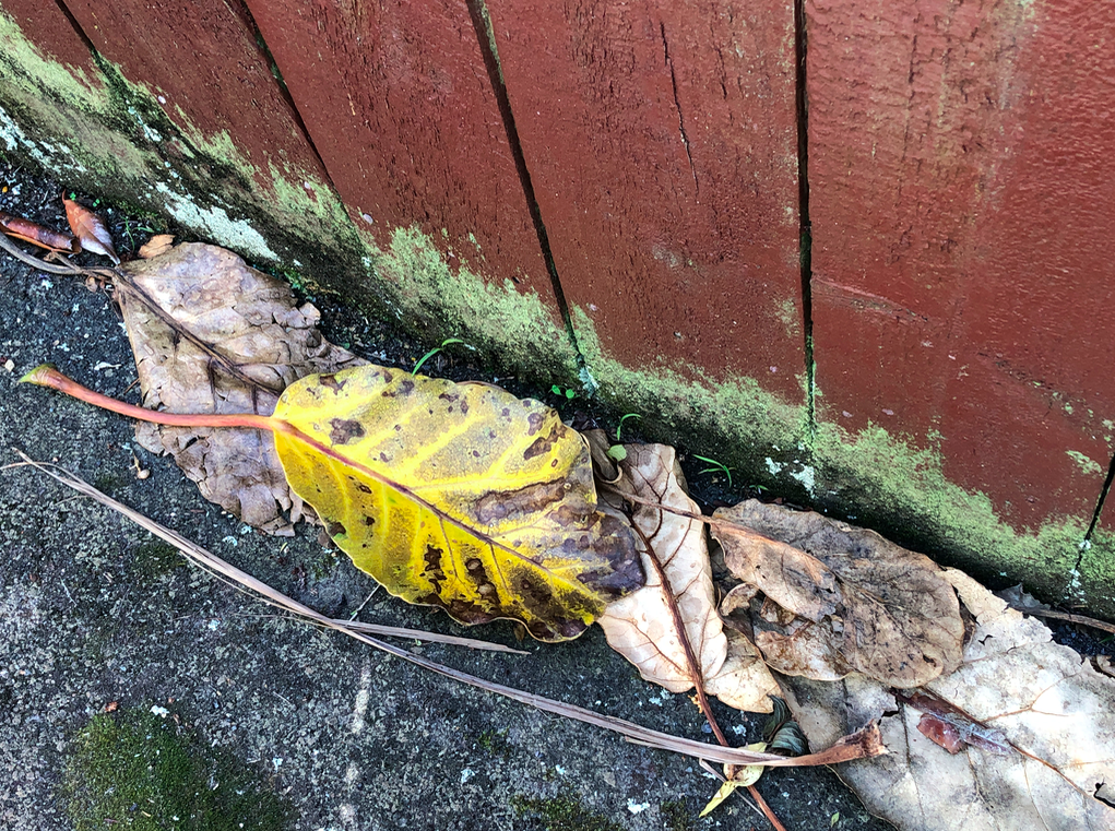 Screen Shot 2019-04-07 at 2.02.52 PM